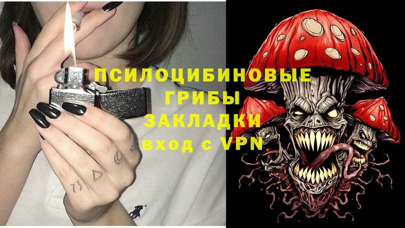 Псилоцибиновые грибы Magic Shrooms Шенкурск